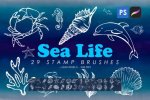Sea Life 01.jpg