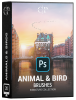 Animal and Bird Brushes.png