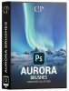 Aurora Brushes.png