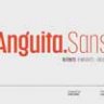 Font - Anguita Sans