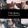 20 Tribal Lightroom Presets & LUTs
