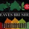 Leaves Photoshop Stamp Brushes
