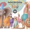 Safari Birthday collection