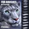 Fur Brushes for Procreate