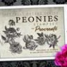 Procreate Peonies Stampset