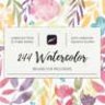 244 Watercolor Brushes For Procreate