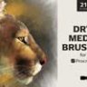 Dry Media Brushes - Procreate