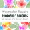 Flowers and leaves Photoshop Brushes