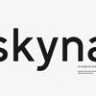 Font - Skyna