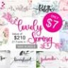 Lovely Spring Mini Bundle - 21 fonts in 1