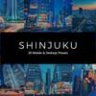 20 Shinjuku Lightroom Presets & LUTs