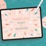 Marelica Font & Procreate Brushes