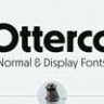 Font - Otterco