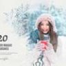 20 Winter Magic Brushes
