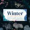 Winter Magic Brushes for Procreate