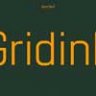Font - Gridink