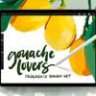 Gouache Lovers Procreate Brush Set