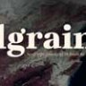 Font - Elgraine