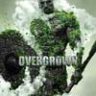 Overgrown Photoshop Action