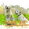 Watercolor Paint Art Photoshop Action