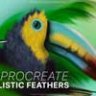 Procreate Realistic Feather Brushes
