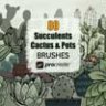 Cactus Succulents and Pots - Procreate Brushes