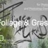 60 Photoshop Foliage & Grass brushes