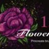 Peonies Procreate Brush Set. Floral Stamps