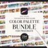 Color Palette Bundle for Procreate