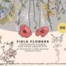 Wildflower Procreate Brushes & Clipart
