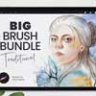 Big Brush Bundle For Procreate